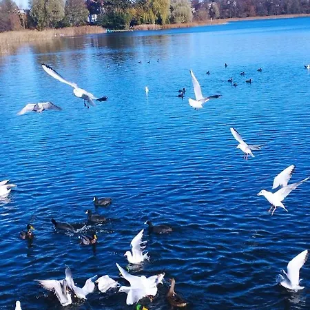 Daire Apartament Lago Mrągowo